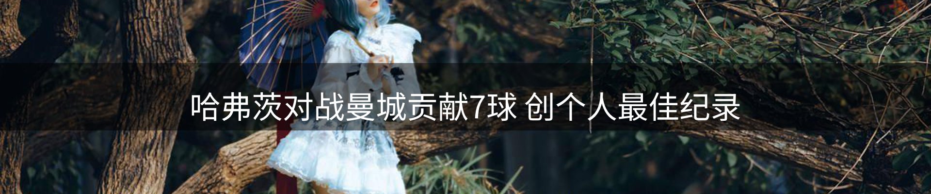 焦点探析