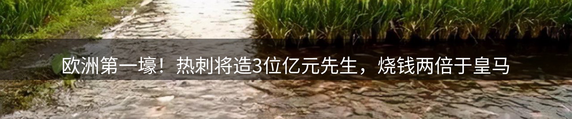 焦点探析