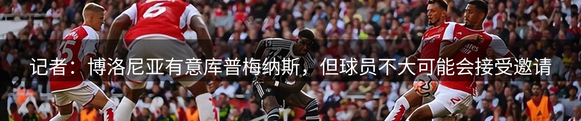 焦点探析